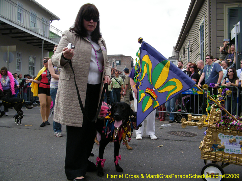 2009-Mystic-Krewe-of-Barkus-Mardi-Gras-French-Quarter-New-Orleans-Dog-Parade-Harriet-Cross-7418