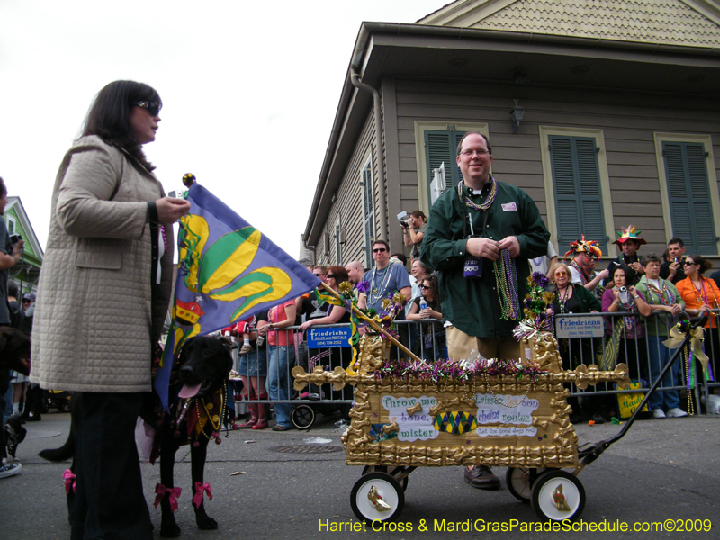 2009-Mystic-Krewe-of-Barkus-Mardi-Gras-French-Quarter-New-Orleans-Dog-Parade-Harriet-Cross-7420