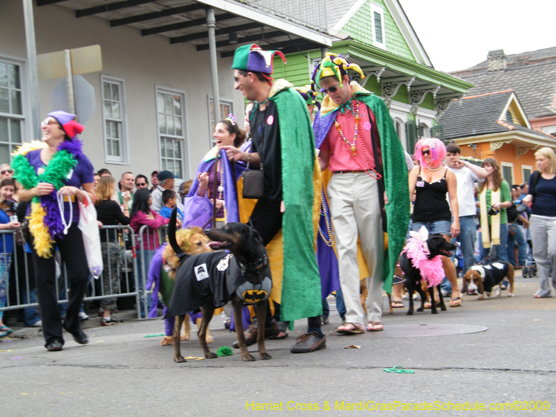 2009-Mystic-Krewe-of-Barkus-Mardi-Gras-French-Quarter-New-Orleans-Dog-Parade-Harriet-Cross-7424