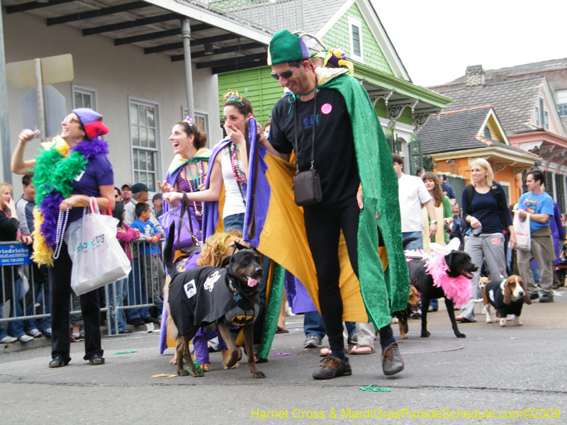 2009-Mystic-Krewe-of-Barkus-Mardi-Gras-French-Quarter-New-Orleans-Dog-Parade-Harriet-Cross-7425