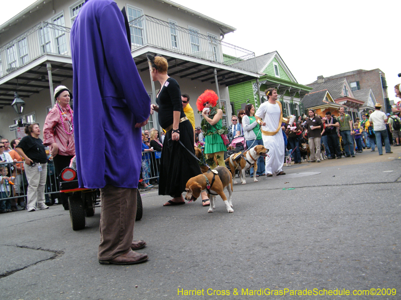 2009-Mystic-Krewe-of-Barkus-Mardi-Gras-French-Quarter-New-Orleans-Dog-Parade-Harriet-Cross-7435