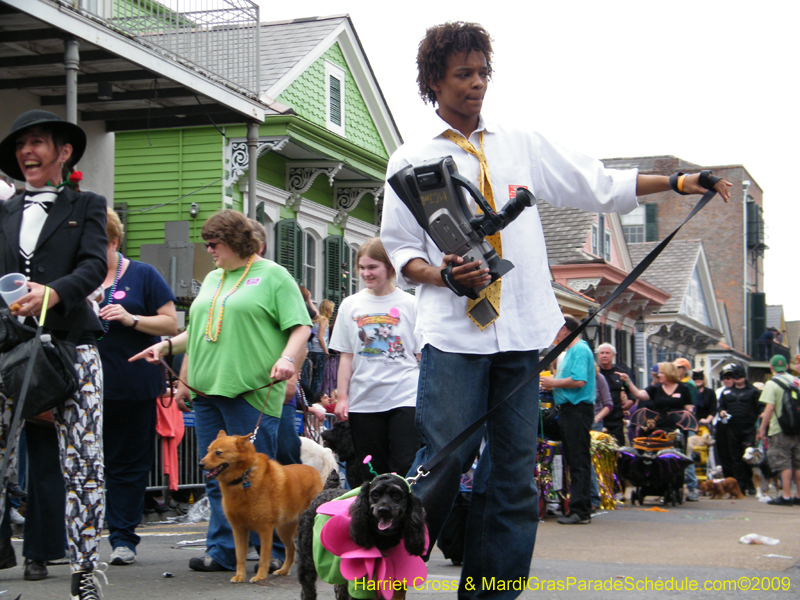 2009-Mystic-Krewe-of-Barkus-Mardi-Gras-French-Quarter-New-Orleans-Dog-Parade-Harriet-Cross-7451