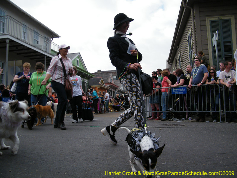 2009-Mystic-Krewe-of-Barkus-Mardi-Gras-French-Quarter-New-Orleans-Dog-Parade-Harriet-Cross-7452