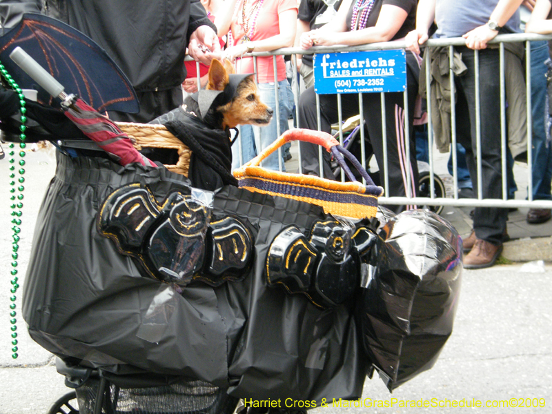 2009-Mystic-Krewe-of-Barkus-Mardi-Gras-French-Quarter-New-Orleans-Dog-Parade-Harriet-Cross-7460