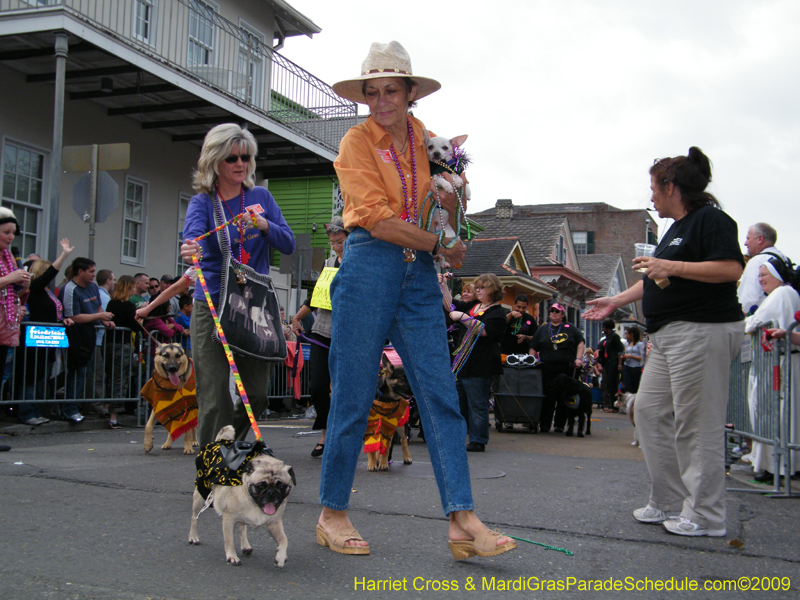 2009-Mystic-Krewe-of-Barkus-Mardi-Gras-French-Quarter-New-Orleans-Dog-Parade-Harriet-Cross-7464