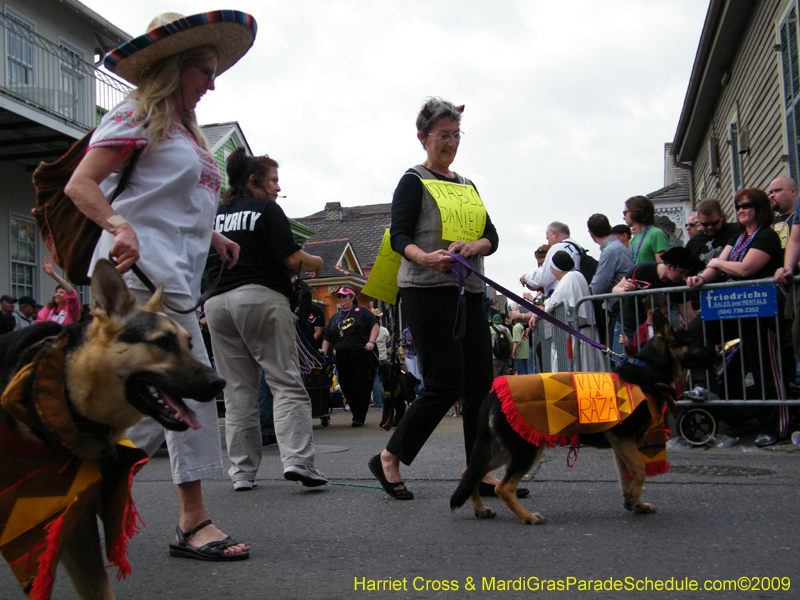 2009-Mystic-Krewe-of-Barkus-Mardi-Gras-French-Quarter-New-Orleans-Dog-Parade-Harriet-Cross-7465