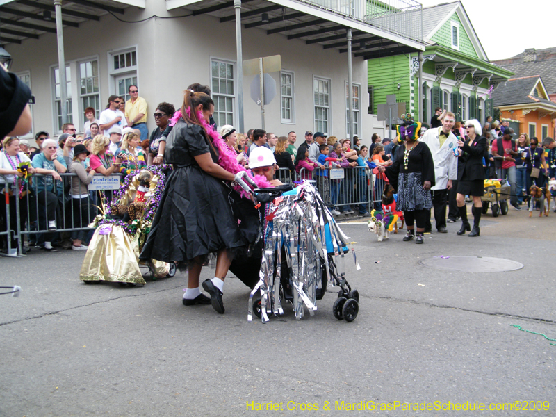 2009-Mystic-Krewe-of-Barkus-Mardi-Gras-French-Quarter-New-Orleans-Dog-Parade-Harriet-Cross-7470