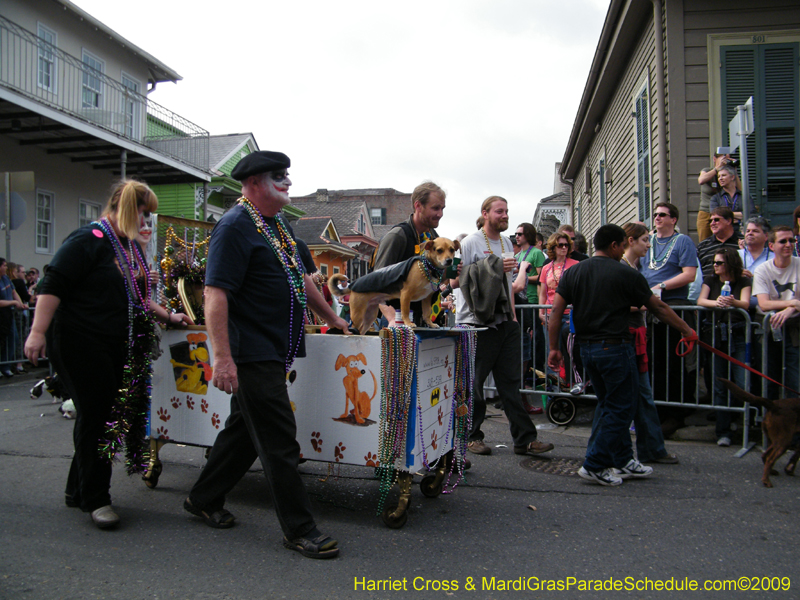 2009-Mystic-Krewe-of-Barkus-Mardi-Gras-French-Quarter-New-Orleans-Dog-Parade-Harriet-Cross-7478