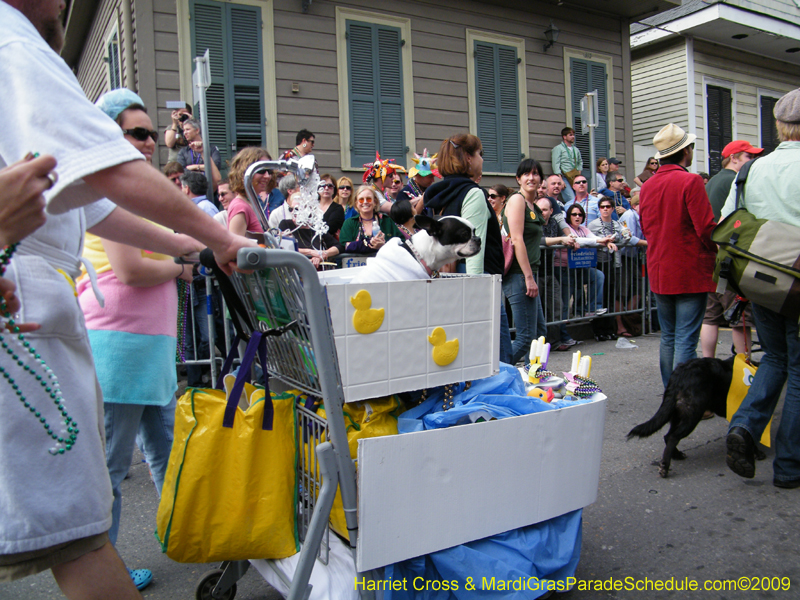 2009-Mystic-Krewe-of-Barkus-Mardi-Gras-French-Quarter-New-Orleans-Dog-Parade-Harriet-Cross-7482