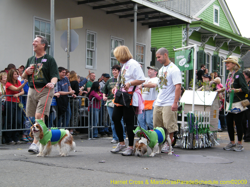 2009-Mystic-Krewe-of-Barkus-Mardi-Gras-French-Quarter-New-Orleans-Dog-Parade-Harriet-Cross-7483