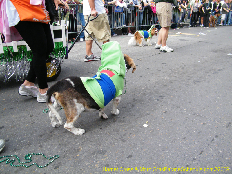 2009-Mystic-Krewe-of-Barkus-Mardi-Gras-French-Quarter-New-Orleans-Dog-Parade-Harriet-Cross-7488