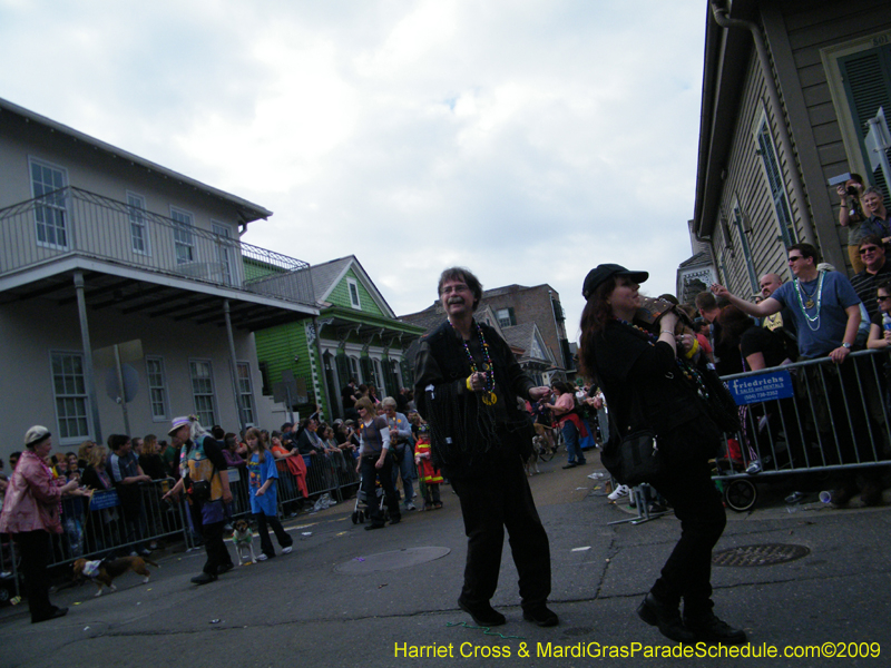 2009-Mystic-Krewe-of-Barkus-Mardi-Gras-French-Quarter-New-Orleans-Dog-Parade-Harriet-Cross-7489