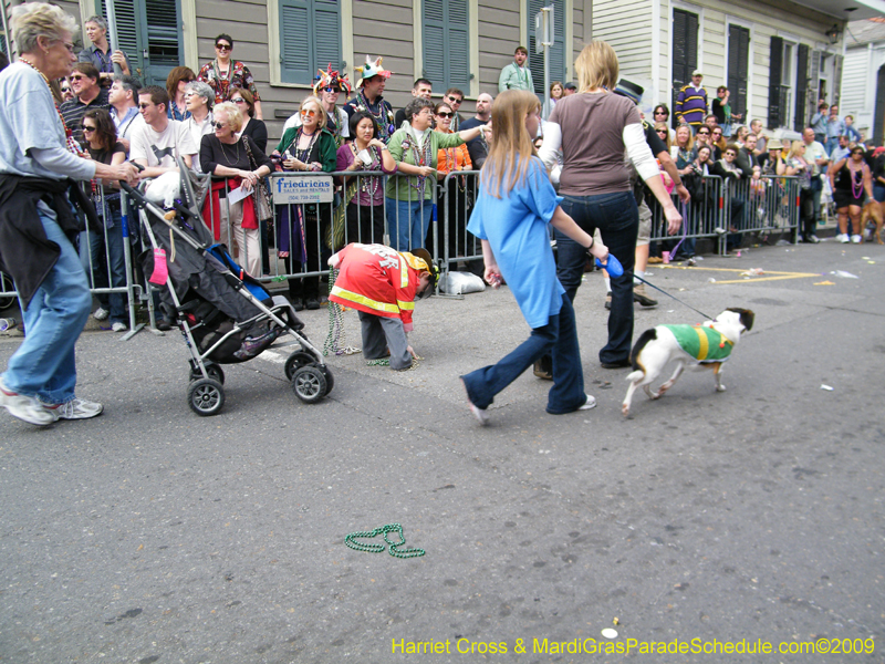 2009-Mystic-Krewe-of-Barkus-Mardi-Gras-French-Quarter-New-Orleans-Dog-Parade-Harriet-Cross-7492