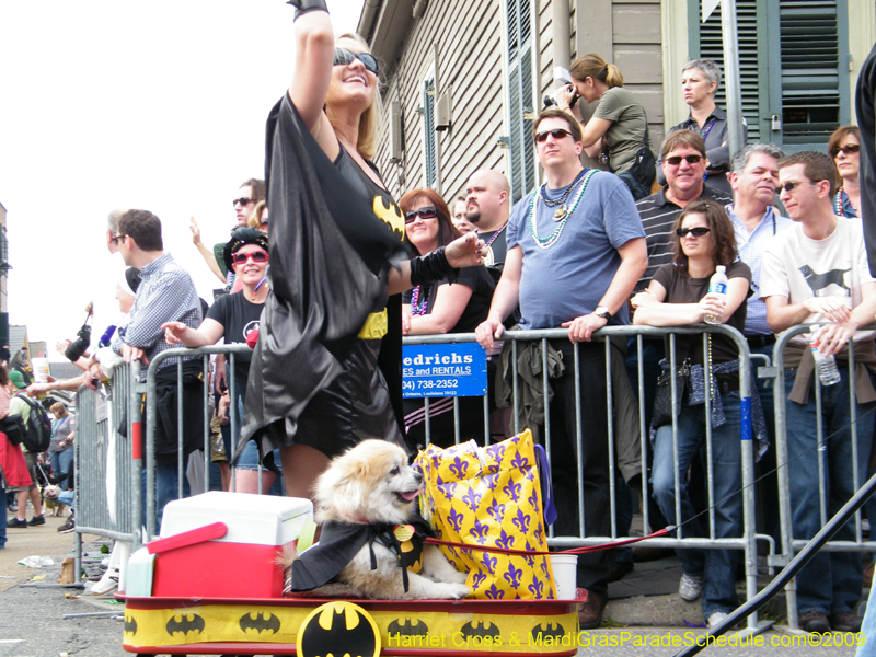 2009-Mystic-Krewe-of-Barkus-Mardi-Gras-French-Quarter-New-Orleans-Dog-Parade-Harriet-Cross-7506