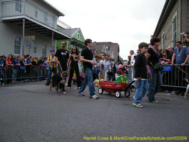 2009-Mystic-Krewe-of-Barkus-Mardi-Gras-French-Quarter-New-Orleans-Dog-Parade-Harriet-Cross-7511