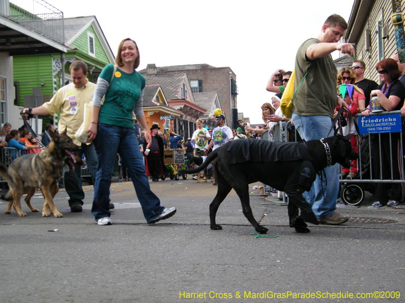 2009-Mystic-Krewe-of-Barkus-Mardi-Gras-French-Quarter-New-Orleans-Dog-Parade-Harriet-Cross-7520