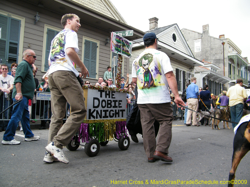 2009-Mystic-Krewe-of-Barkus-Mardi-Gras-French-Quarter-New-Orleans-Dog-Parade-Harriet-Cross-7524