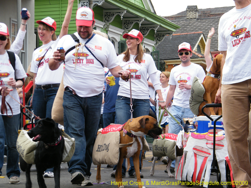 2009-Mystic-Krewe-of-Barkus-Mardi-Gras-French-Quarter-New-Orleans-Dog-Parade-Harriet-Cross-7526