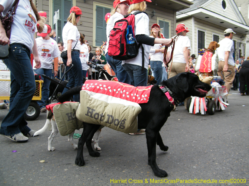 2009-Mystic-Krewe-of-Barkus-Mardi-Gras-French-Quarter-New-Orleans-Dog-Parade-Harriet-Cross-7529