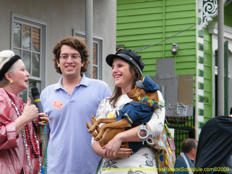 2009-Mystic-Krewe-of-Barkus-Mardi-Gras-French-Quarter-New-Orleans-Dog-Parade-Harriet-Cross-7555