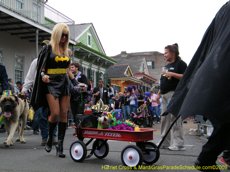 2009-Mystic-Krewe-of-Barkus-Mardi-Gras-French-Quarter-New-Orleans-Dog-Parade-Harriet-Cross-7560