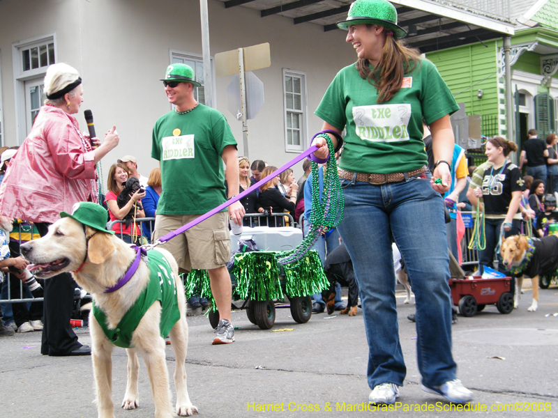 2009-Mystic-Krewe-of-Barkus-Mardi-Gras-French-Quarter-New-Orleans-Dog-Parade-Harriet-Cross-7575