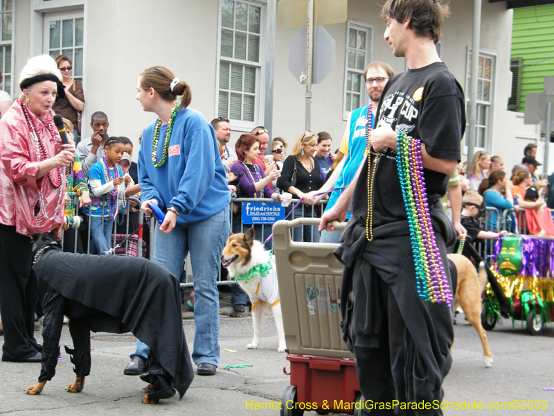 2009-Mystic-Krewe-of-Barkus-Mardi-Gras-French-Quarter-New-Orleans-Dog-Parade-Harriet-Cross-7577