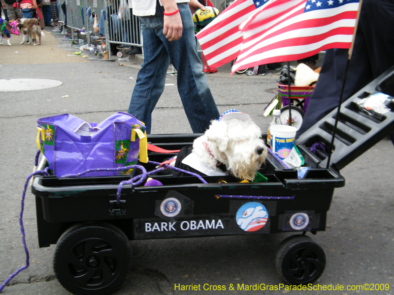 2009-Mystic-Krewe-of-Barkus-Mardi-Gras-French-Quarter-New-Orleans-Dog-Parade-Harriet-Cross-7585