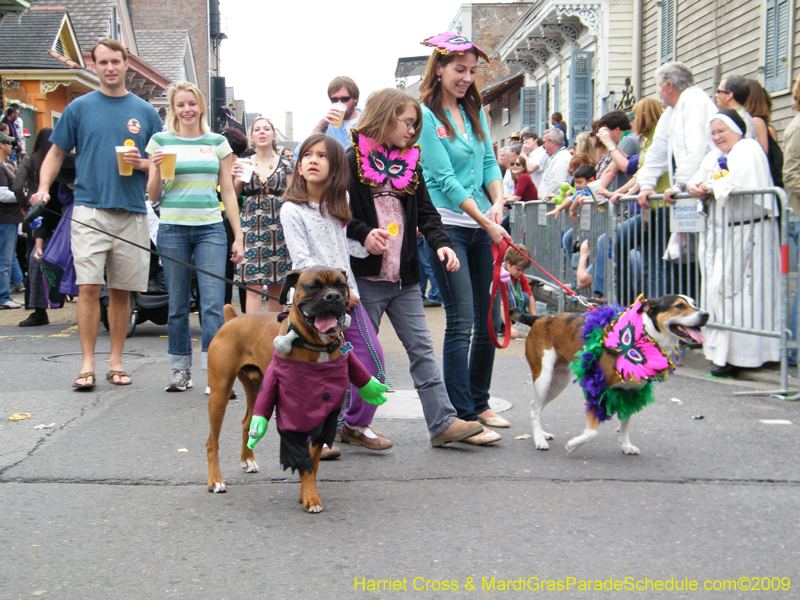 2009-Mystic-Krewe-of-Barkus-Mardi-Gras-French-Quarter-New-Orleans-Dog-Parade-Harriet-Cross-7590