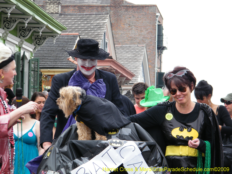 2009-Mystic-Krewe-of-Barkus-Mardi-Gras-French-Quarter-New-Orleans-Dog-Parade-Harriet-Cross-7592