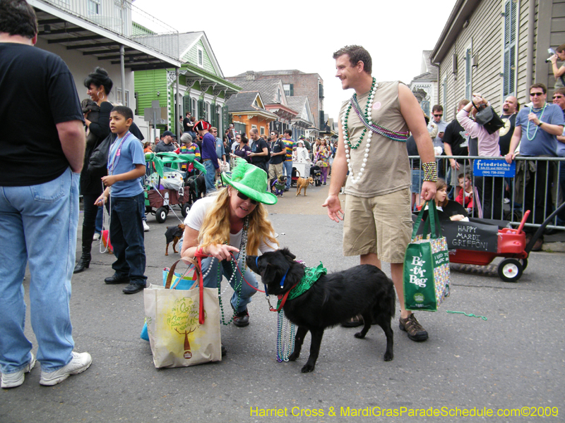 2009-Mystic-Krewe-of-Barkus-Mardi-Gras-French-Quarter-New-Orleans-Dog-Parade-Harriet-Cross-7595