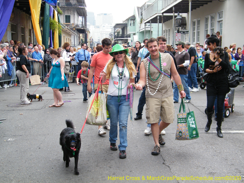 2009-Mystic-Krewe-of-Barkus-Mardi-Gras-French-Quarter-New-Orleans-Dog-Parade-Harriet-Cross-7596