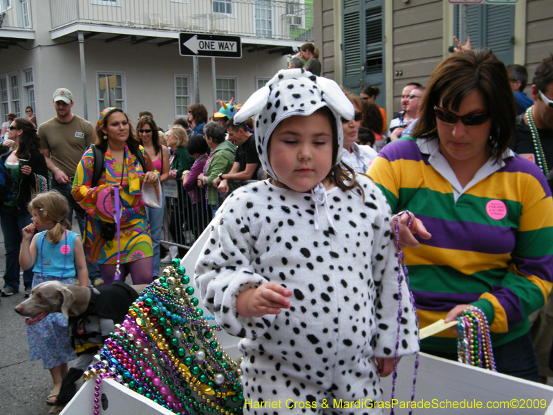 2009-Mystic-Krewe-of-Barkus-Mardi-Gras-French-Quarter-New-Orleans-Dog-Parade-Harriet-Cross-7606