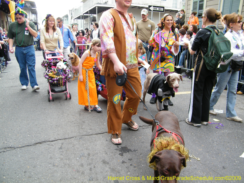 2009-Mystic-Krewe-of-Barkus-Mardi-Gras-French-Quarter-New-Orleans-Dog-Parade-Harriet-Cross-7607