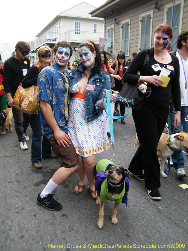 2009-Mystic-Krewe-of-Barkus-Mardi-Gras-French-Quarter-New-Orleans-Dog-Parade-Harriet-Cross-7619