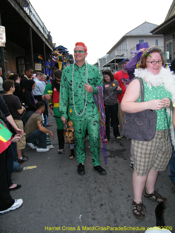 2009-Mystic-Krewe-of-Barkus-Mardi-Gras-French-Quarter-New-Orleans-Dog-Parade-Harriet-Cross-7623