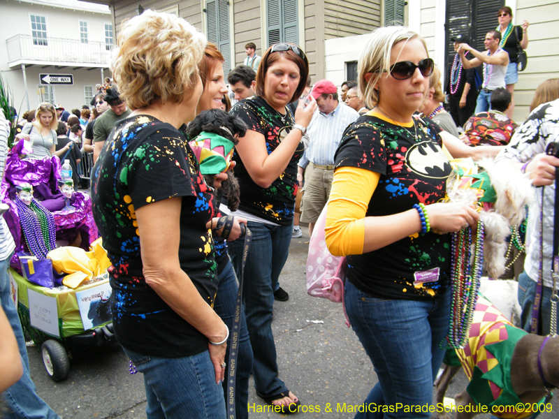 2009-Mystic-Krewe-of-Barkus-Mardi-Gras-French-Quarter-New-Orleans-Dog-Parade-Harriet-Cross-7628