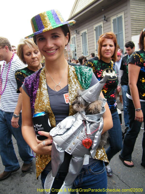 2009-Mystic-Krewe-of-Barkus-Mardi-Gras-French-Quarter-New-Orleans-Dog-Parade-Harriet-Cross-7629