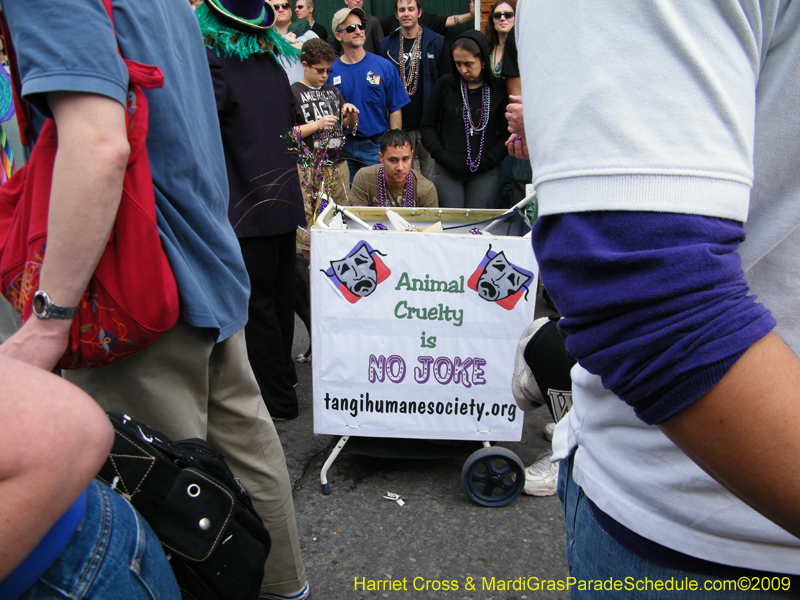 2009-Mystic-Krewe-of-Barkus-Mardi-Gras-French-Quarter-New-Orleans-Dog-Parade-Harriet-Cross-7639