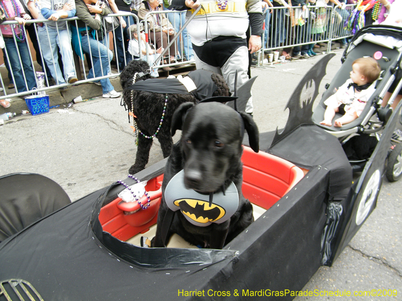 2009-Mystic-Krewe-of-Barkus-Mardi-Gras-French-Quarter-New-Orleans-Dog-Parade-Harriet-Cross-7641