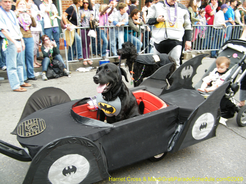 2009-Mystic-Krewe-of-Barkus-Mardi-Gras-French-Quarter-New-Orleans-Dog-Parade-Harriet-Cross-7642