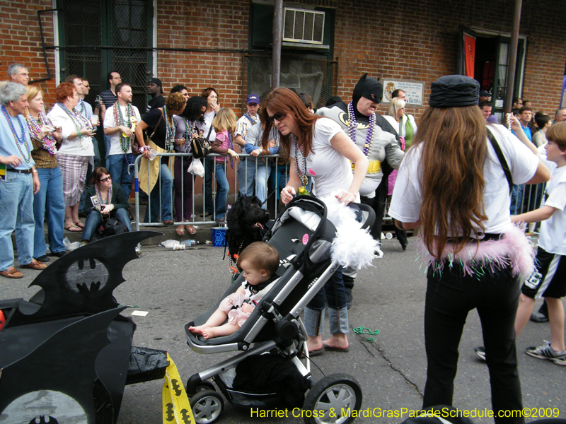 2009-Mystic-Krewe-of-Barkus-Mardi-Gras-French-Quarter-New-Orleans-Dog-Parade-Harriet-Cross-7643