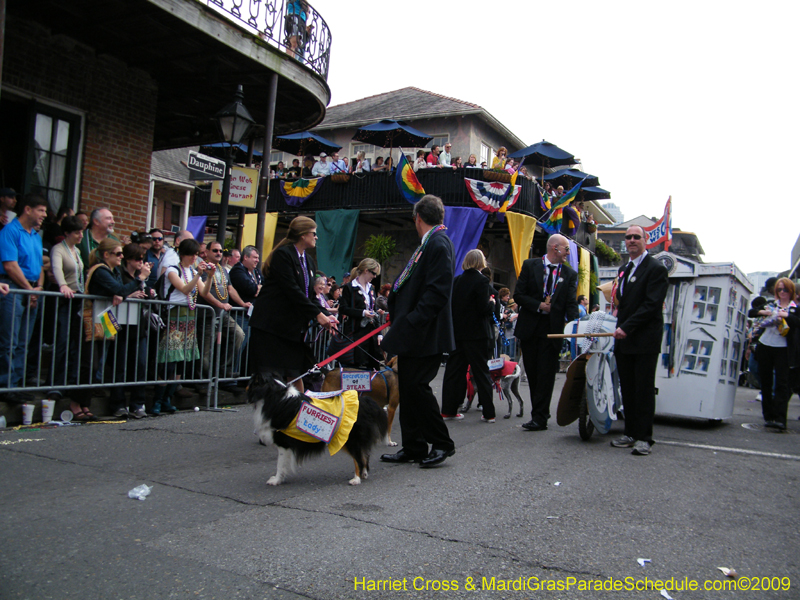 2009-Mystic-Krewe-of-Barkus-Mardi-Gras-French-Quarter-New-Orleans-Dog-Parade-Harriet-Cross-7645