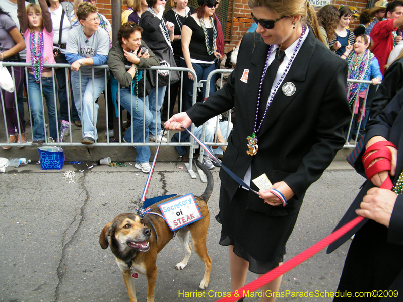 2009-Mystic-Krewe-of-Barkus-Mardi-Gras-French-Quarter-New-Orleans-Dog-Parade-Harriet-Cross-7647