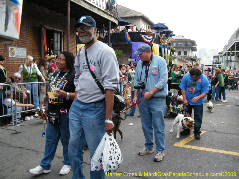 2009-Mystic-Krewe-of-Barkus-Mardi-Gras-French-Quarter-New-Orleans-Dog-Parade-Harriet-Cross-7653