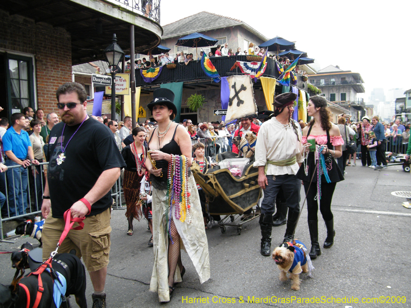 2009-Mystic-Krewe-of-Barkus-Mardi-Gras-French-Quarter-New-Orleans-Dog-Parade-Harriet-Cross-7661