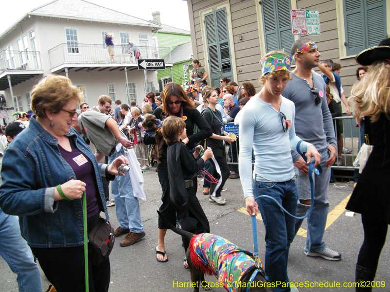 2009-Mystic-Krewe-of-Barkus-Mardi-Gras-French-Quarter-New-Orleans-Dog-Parade-Harriet-Cross-7664