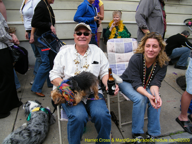 2009-Mystic-Krewe-of-Barkus-Mardi-Gras-French-Quarter-New-Orleans-Dog-Parade-Harriet-Cross-7700