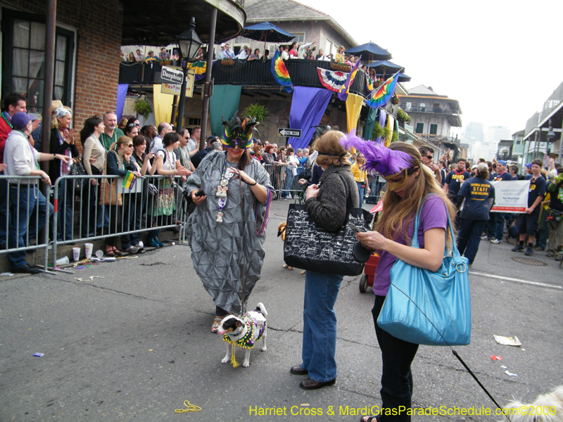 2009-Mystic-Krewe-of-Barkus-Mardi-Gras-French-Quarter-New-Orleans-Dog-Parade-Harriet-Cross-7715