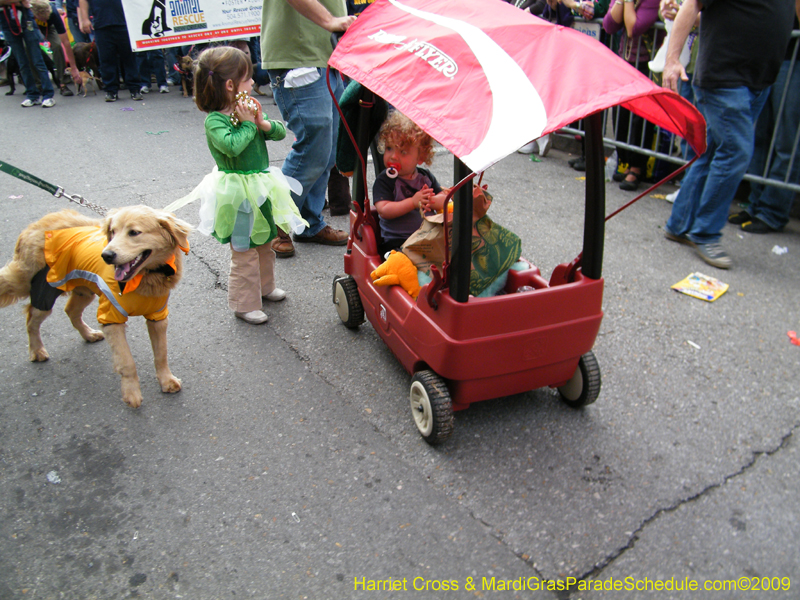 2009-Mystic-Krewe-of-Barkus-Mardi-Gras-French-Quarter-New-Orleans-Dog-Parade-Harriet-Cross-7716